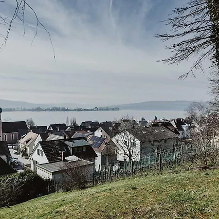 Bodenseeblick *